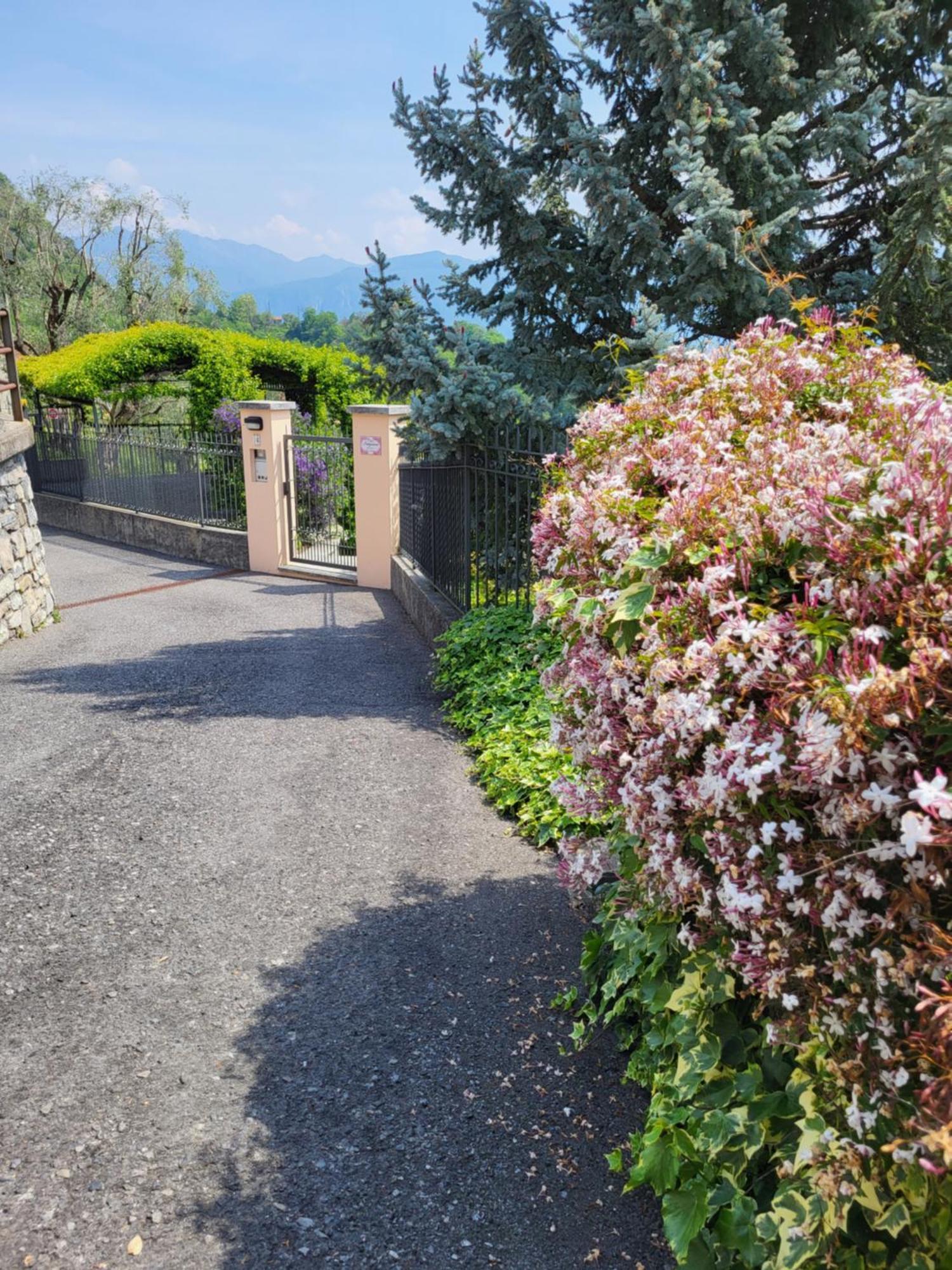 Casa Intignano - Appartamento Con Terrazzo Vista Lago Tremezzo Eksteriør billede