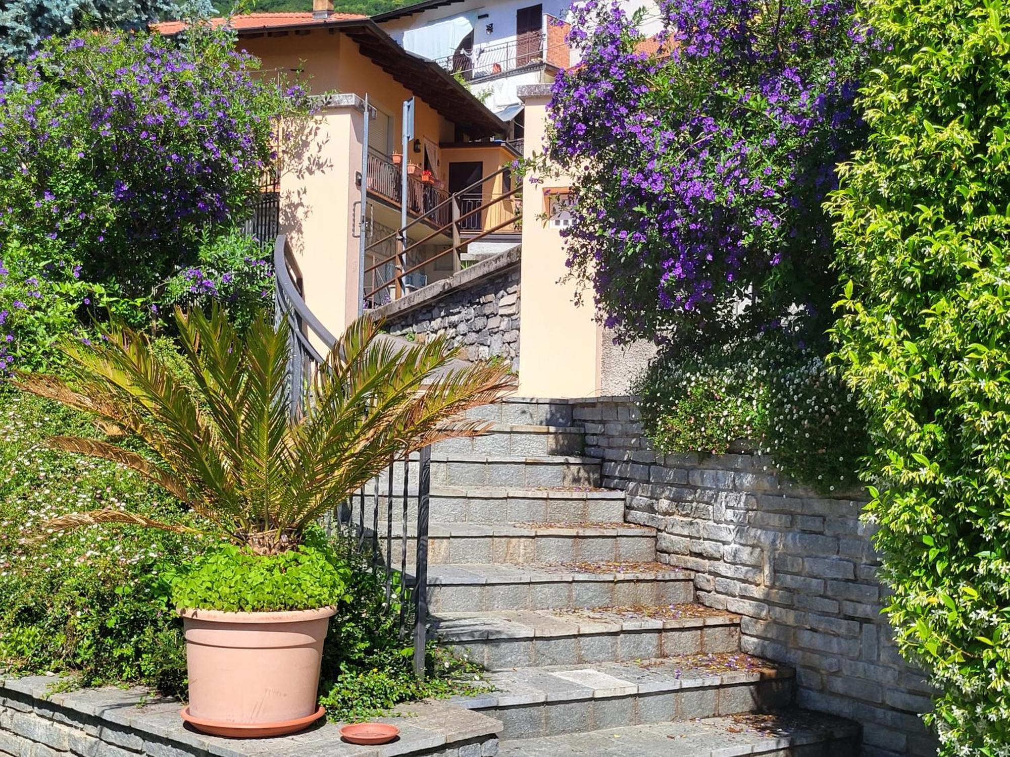 Casa Intignano - Appartamento Con Terrazzo Vista Lago Tremezzo Eksteriør billede